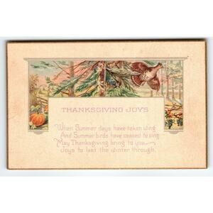 Vintage 1922 Thanksgiving Joys Lithograph Postcard with Bird & Pumpkin